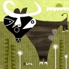 bull.jpg